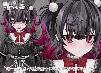 FaceRig、実用モデル参考 - 砲介 - nizima by Live2D