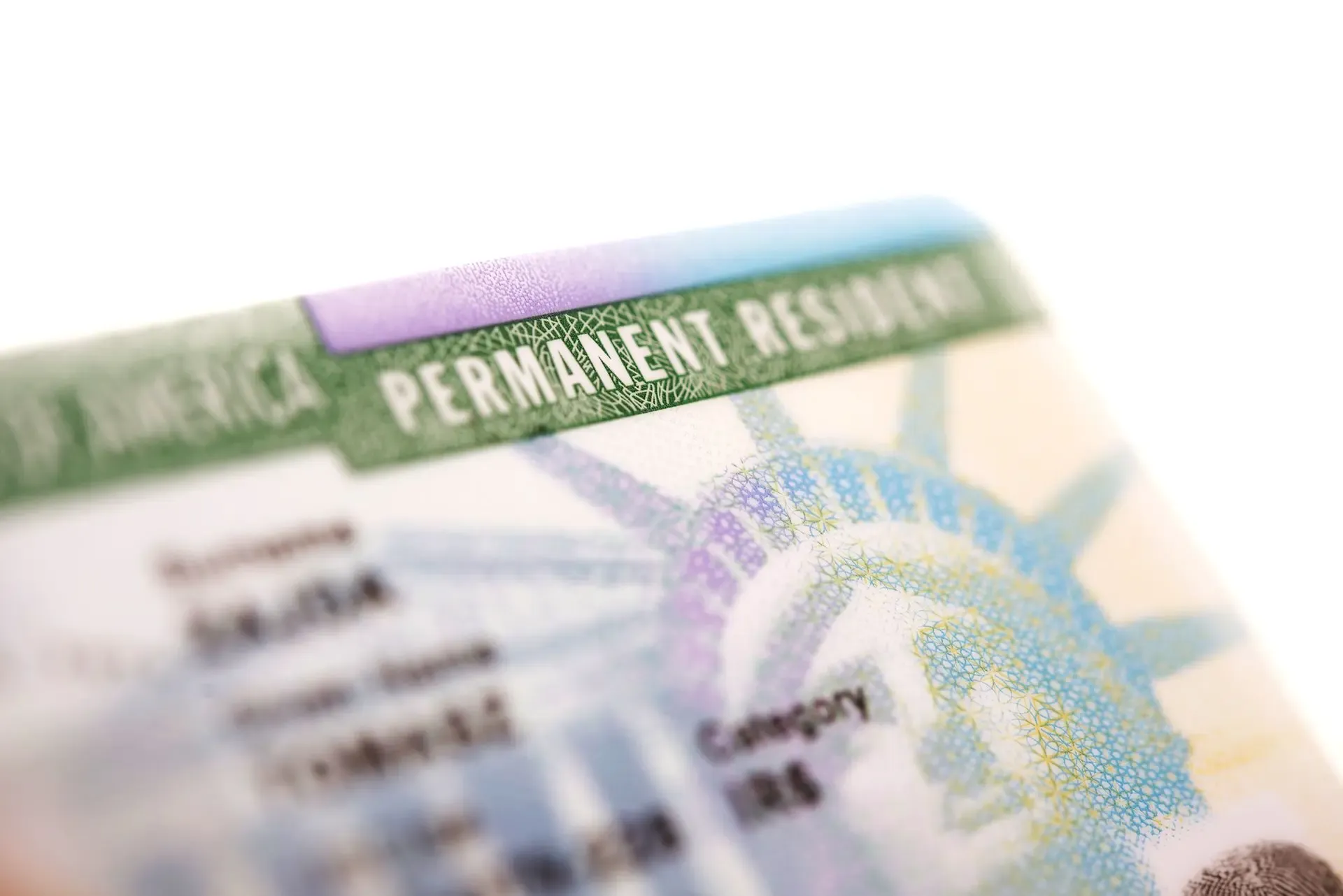 Close-up of a permanent resident permit card showing green security features and text