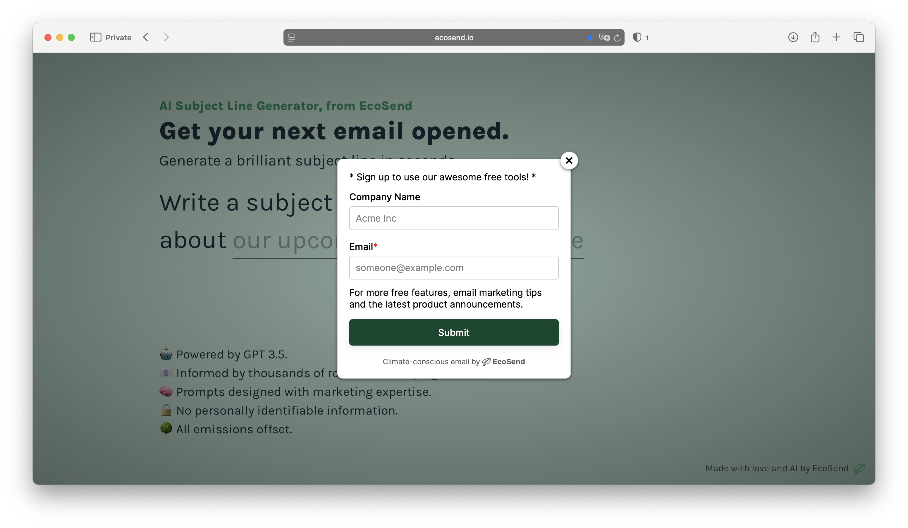 A screenshot of a website showing EcoSend's newsletter signup form pop-up showing