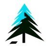 Boreal Digital Solutions logo