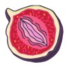 Feeky Feeky logo