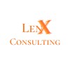 LenX Consulting logo