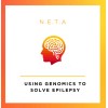 NETA Discovery logo
