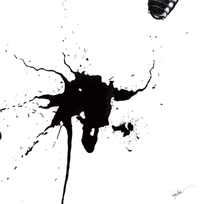 Trajectory: Salganea Taiwanensis