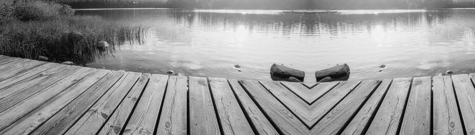 Best Title Services In Safety Harbor, Fl