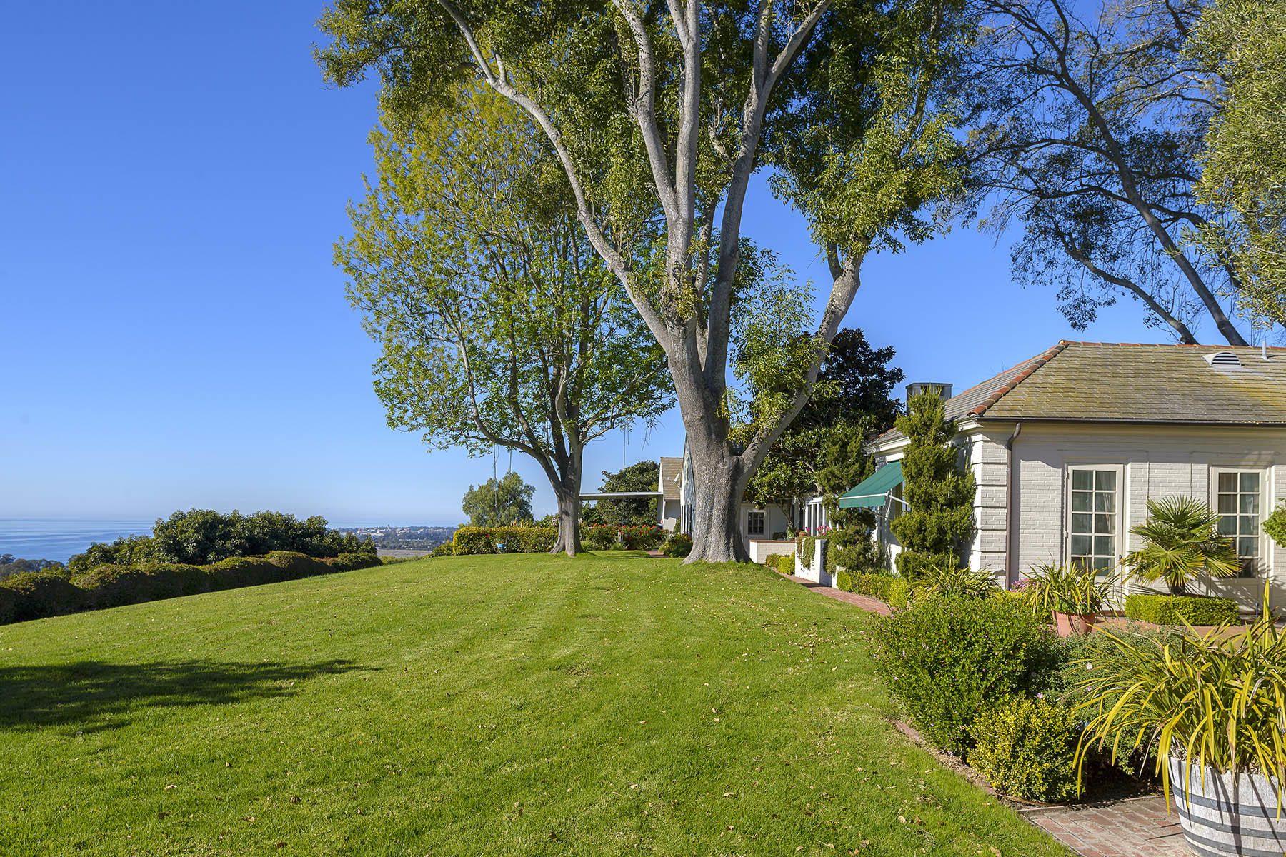 large tree and grassy area