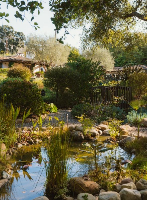 backyard pond