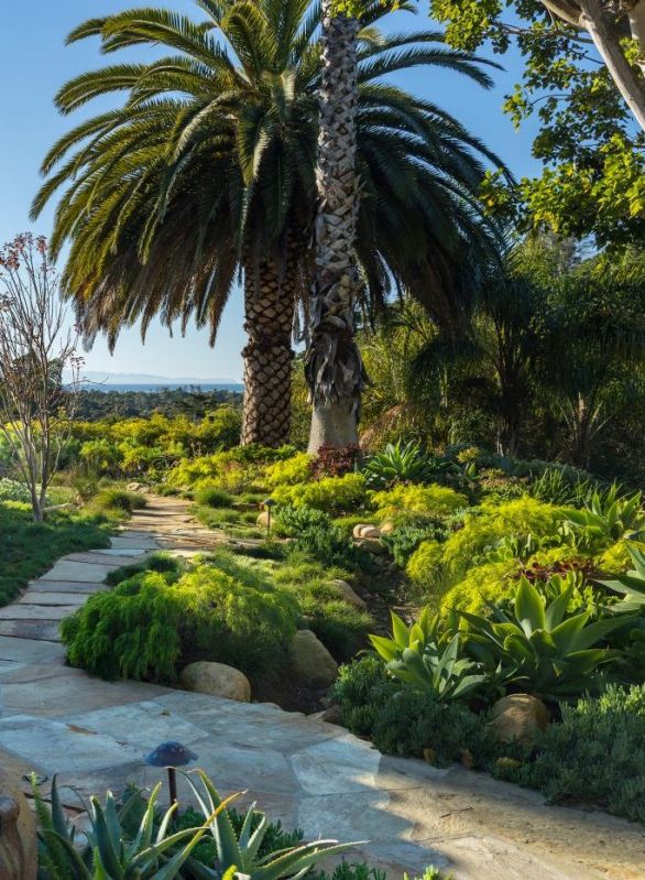 exterior pathway through vegetation