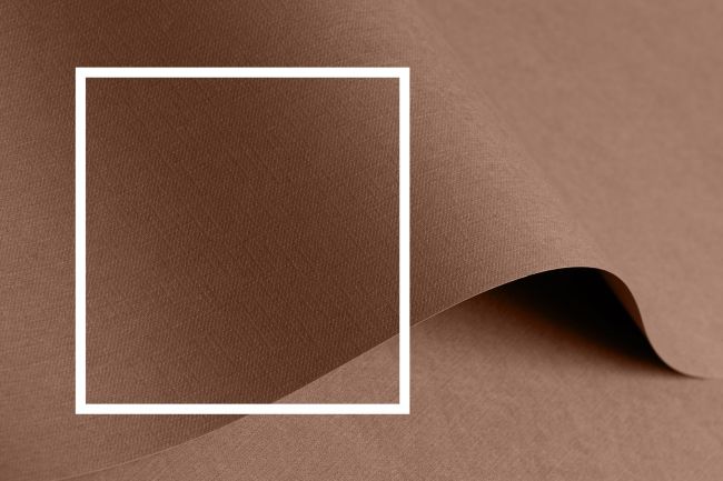 Pantone's Color of the Year 2025