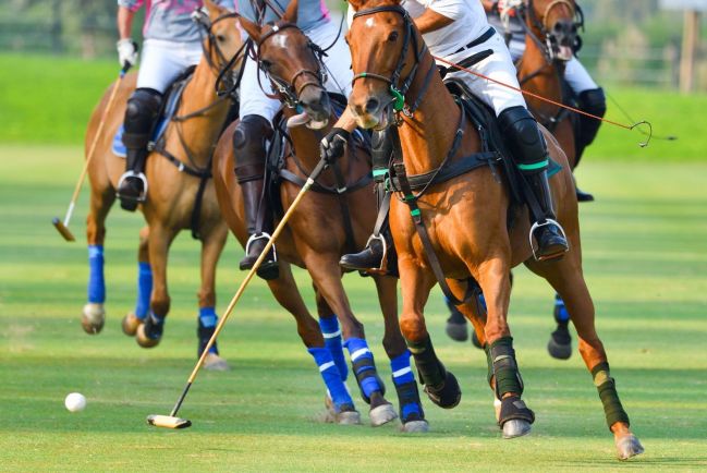 Saddle Up in Style: Polo in Paradise