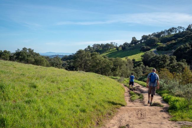 Spring into action! Lace up and go on a hike.