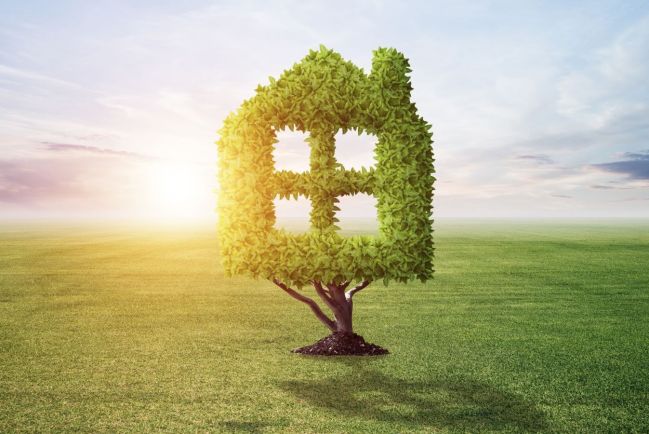 Eco-friendly Tricks at Home