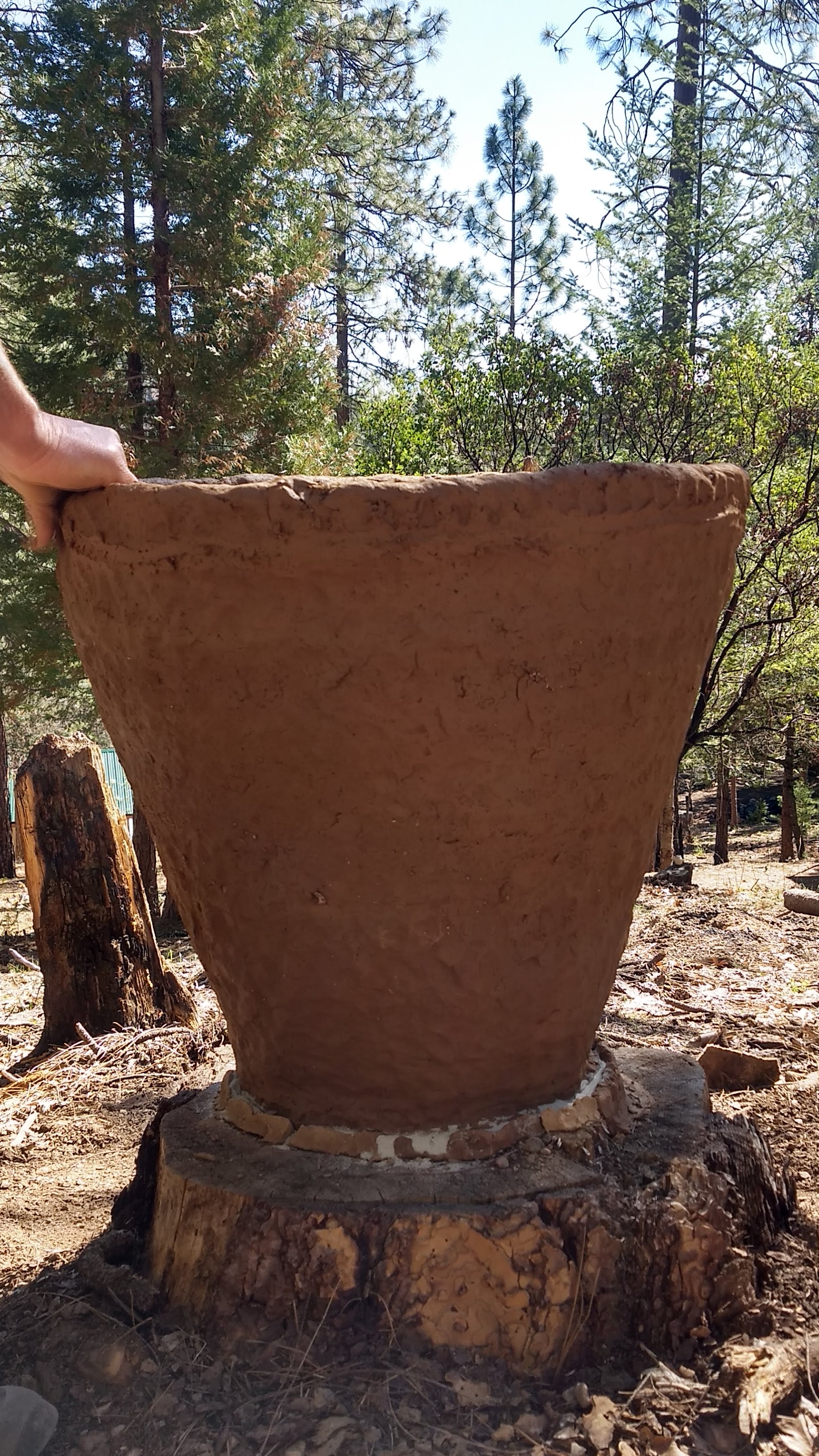 Cobb Mountain Art & Ecology Project