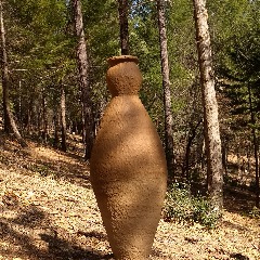 Cobb Mountain Art & Ecology Project