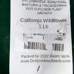 Cobb Mountain Art & Ecology Project