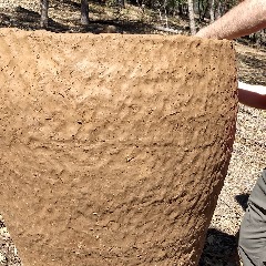 Cobb Mountain Art & Ecology Project