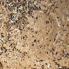 Cobb Mountain Art & Ecology Project