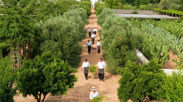 Babylonstoren