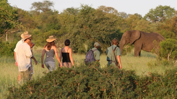 Plains Camp at Rhino Walking Safaris