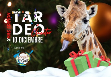 TARDEO SABADO 10 DICIEMBRE - CHESTER LAS PALMAS