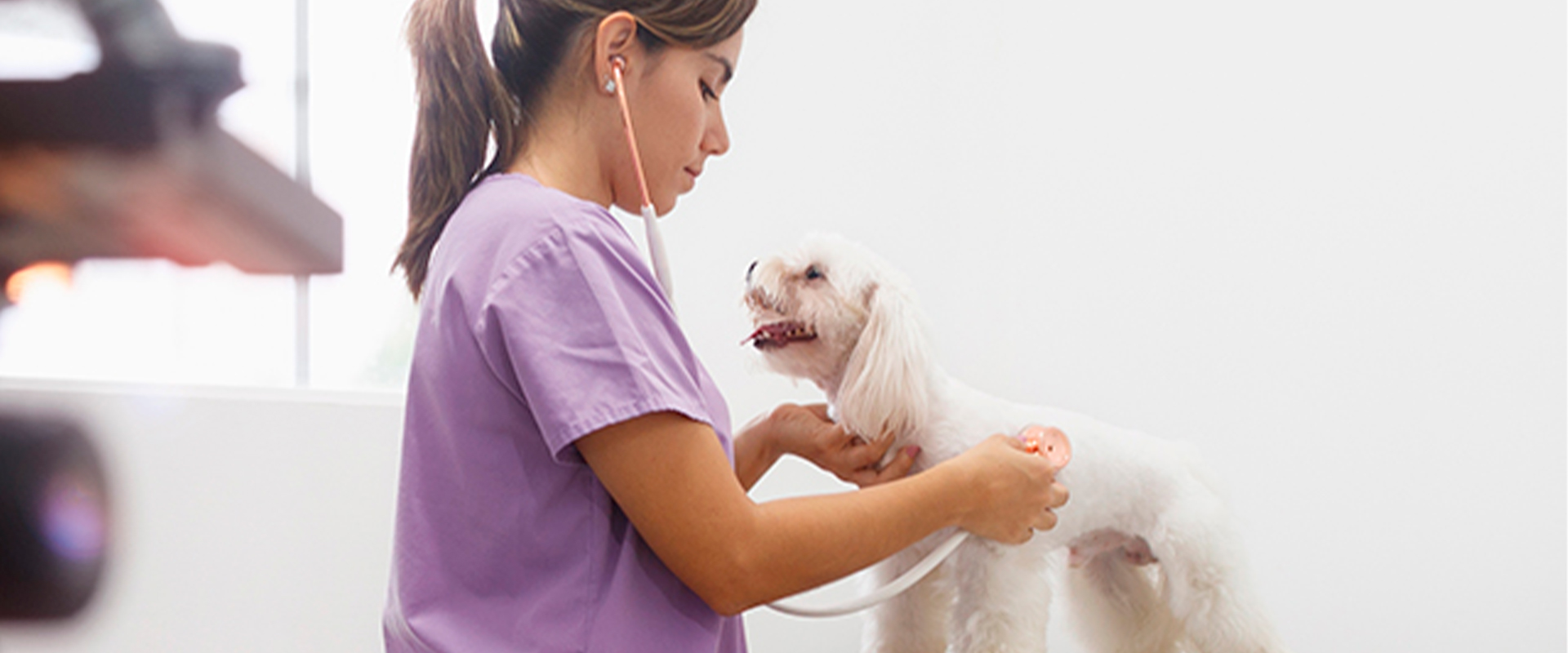 Medicina, veterinaria y zootecnia