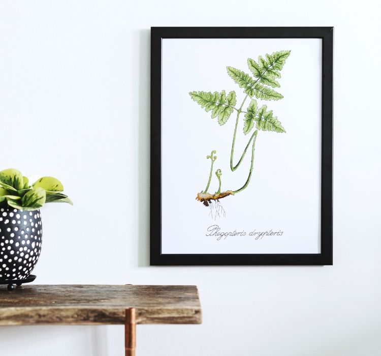 Our DIY framing services: