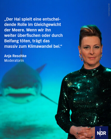 Die Grafik zeigt ein Foto der Moderatorin Anja Reschke in einem glitzernden Abendkleid. Hinter ihr ist ein Hai zu sehen, der im Meer schwimmt.
Dazu das Zitat von Anja Reschke:
