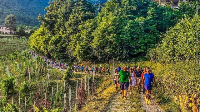 Luciano Fregonese, Bürgermeister von Valdobbiadene (Italien), läuft mit einer Gruppe seiner Bürger durch die Weinberge seiner Gemeinde. (Foto: dpa Bildfunk, picture alliance/dpa/Comune Di Valdobbiadene | -)