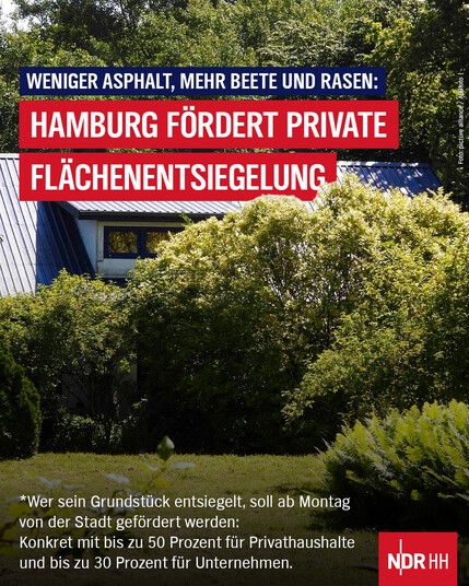 Die Grafik zeigt einen Garten mit einm grünen Rasen und Bäumen und Büschen drumherum. Im Hintergrund steht ein Haus, dass teilweise durch die Bäume verdeckt wird. Dazu der Text: Weniger Asphalt, mehr Beete und Rasen: Hamburg fördert private Flächenentsiegelung. Wer sein Grundstück entsiegelt, soll ab Montag von der Stadt gefördert werden: Konkret mit bis zu 50 Prozent für Privathaus und bis zu 30 Prozent für Unternehmen.