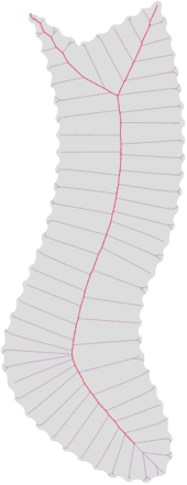 Medial and Scale Axis Transform