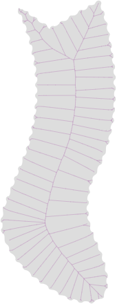 Medial Axis Transform