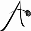 Aronia