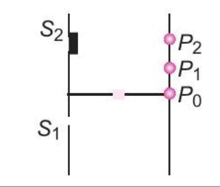 (D)