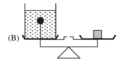 Experiment B