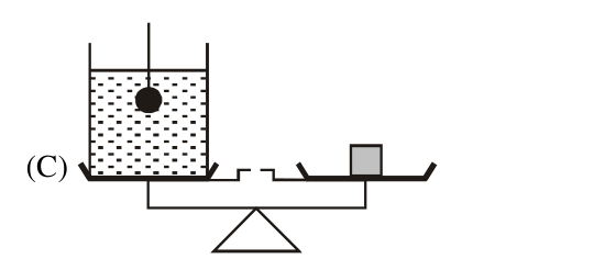 Experiment C