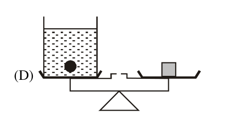 Experiment D