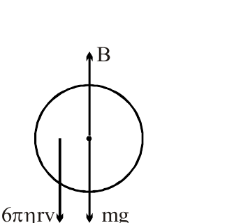 Printed buoyancy, drag and weight diagram