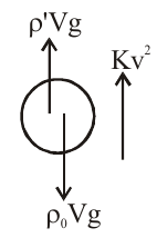 Solution force diagram: upward buoyancy and viscous drag, downward weight