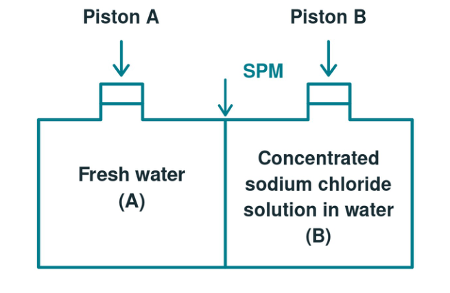Original solutions-19-stem diagram