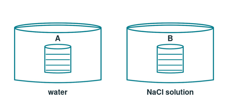 Original solutions-22-stem diagram