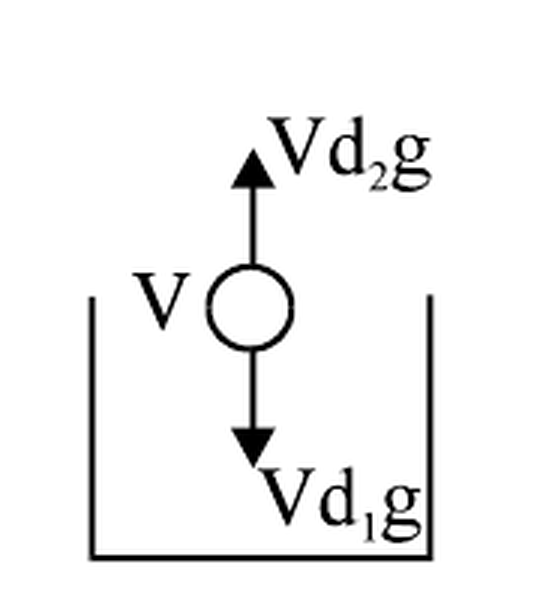 Source force diagram: buoyancy upward and body weight downward