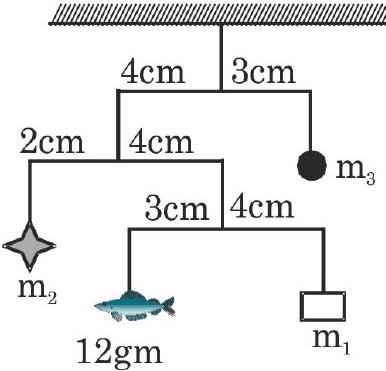Original source figure, Advanced Section-II(ii) Q8