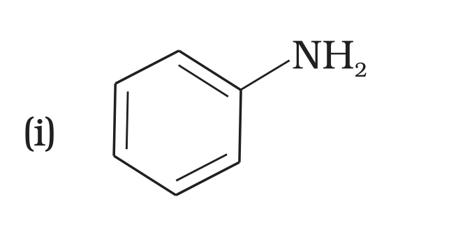NCERT Exemplar Unit 13 Q4 option (i) aniline