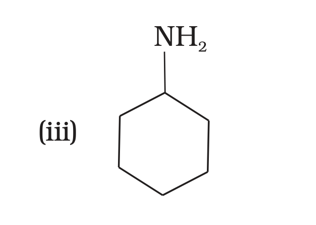 NCERT Exemplar Unit 13 Q4 option (iii) cyclohexylamine