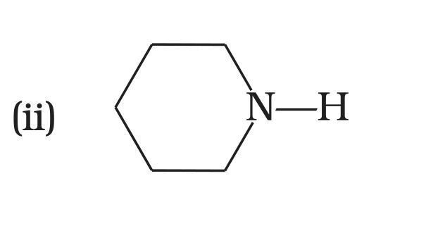NCERT Exemplar Unit 13 Q4 option (ii) piperidine