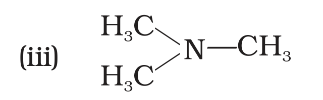 NCERT Exemplar Unit 13 Q18 option (iii) trimethylamine