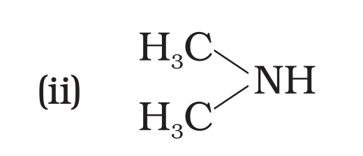 NCERT Exemplar Unit 13 Q18 option (ii) dimethylamine