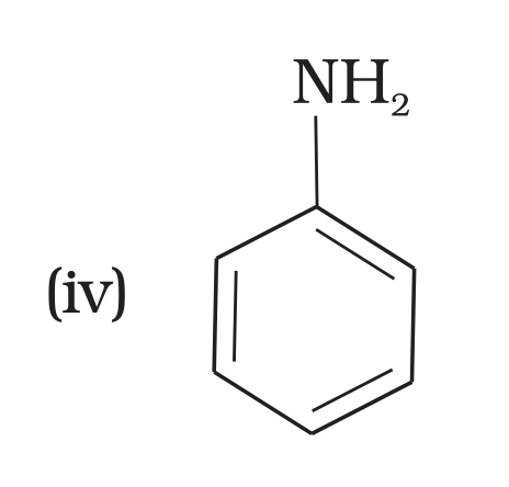 NCERT Exemplar Unit 13 Q18 option (iv) aniline