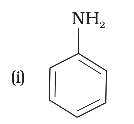 NCERT Exemplar Unit 13 Q23 option (i) aniline
