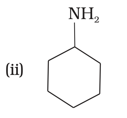 NCERT Exemplar Unit 13 Q23 option (ii) cyclohexylamine